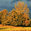 Arbeitsschwerpunkte Bild 4
