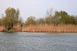 Extensiver Fischteich in Ungarn