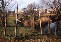 Bodenmessfeld Sdlicher Kirchteich (K)
