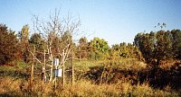 Bodenmessfeld Mtzlicher Teiche - Oberhang (M)