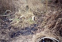 Bodenmessfeld Mtzlicher Teiche - Unterhang (M)