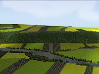 Erlernen von computergestützten Methoden zur Erzeugung von virtuellen Landschaftsmodellen auf der Basis geographischer Informationssysteme.
Beispiel Soll-Zustand einer Kulturlandschaft in der Landschaftsplanung.
(c) Tobias Richter 2008