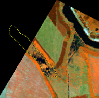 HYMAP-Beispiel (kan 30/84/19 in r/g/b). Detektion von Hochstaudenfluren in der Bergabufolgelandschaft Goitzsche-Bitterfeld