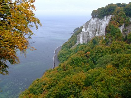 Kreidefelsen Rügen