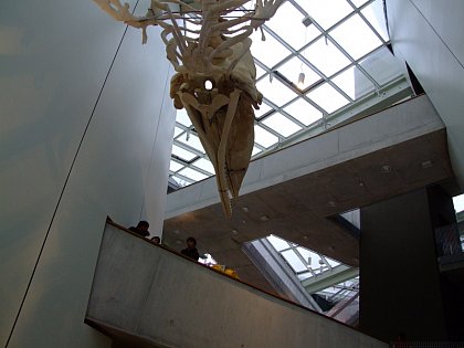 Deutsches Meereskundemuseum Stralsund
