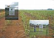 Versuchsgelände der Universität KwaZulu-Natal mit Wetterstation