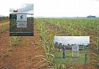 Versuchsgelnde der Universitt KwaZulu-Natal mit Wetterstation