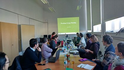 Working Group Meeting